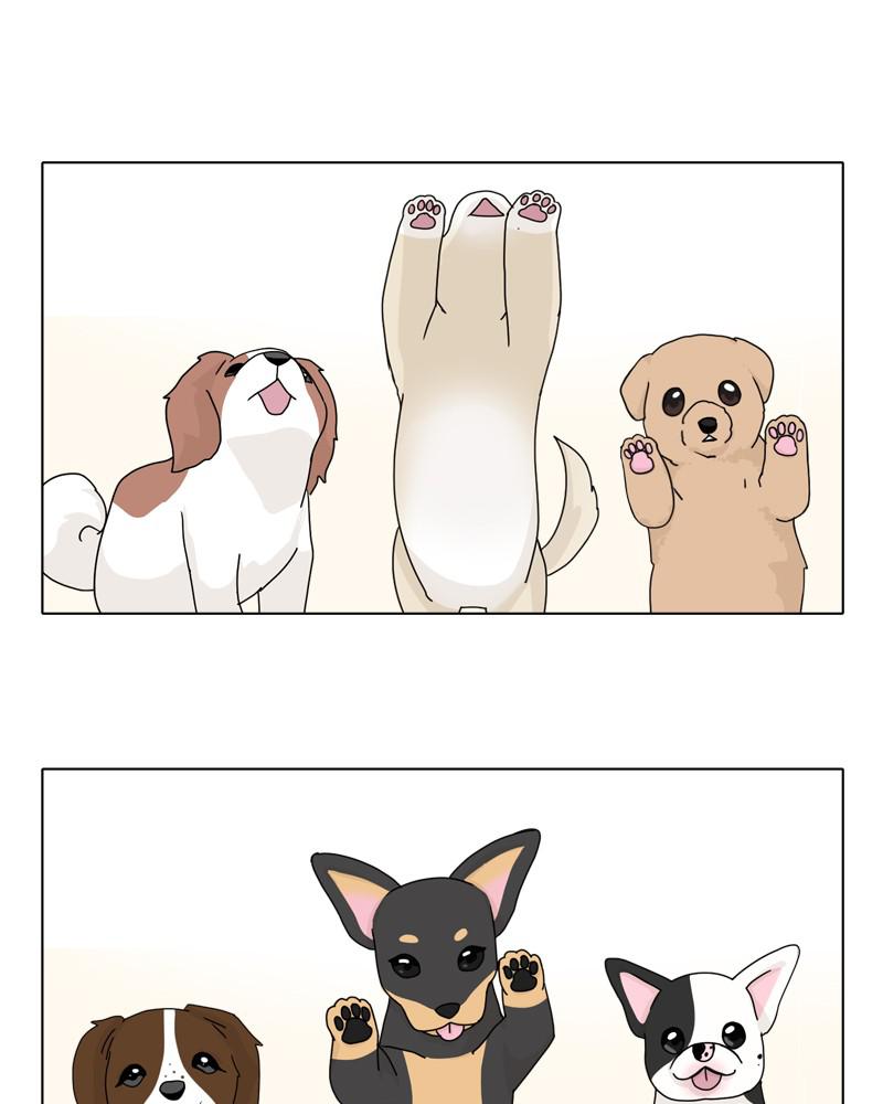 The Dog Diaries Chap 42 - Next Chap 43