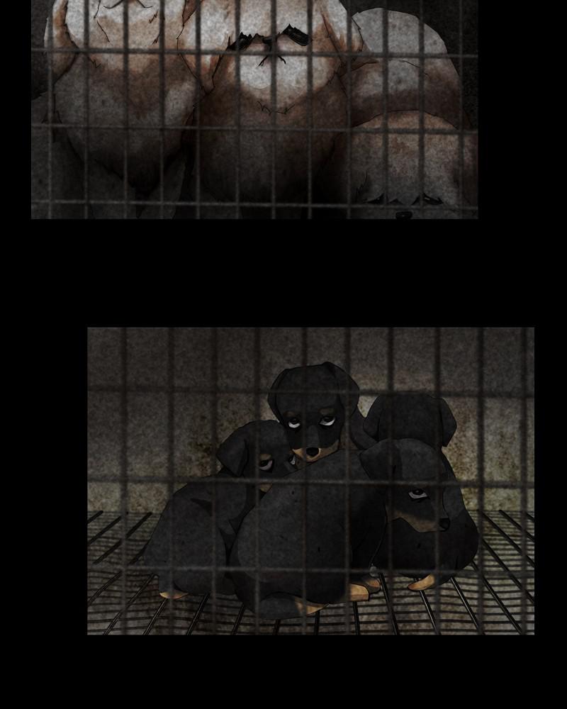 The Dog Diaries Chap 42 - Next Chap 43