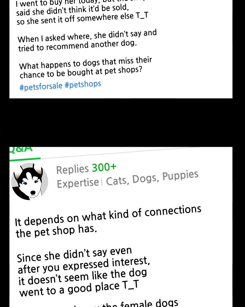 The Dog Diaries Chap 42 - Next Chap 43