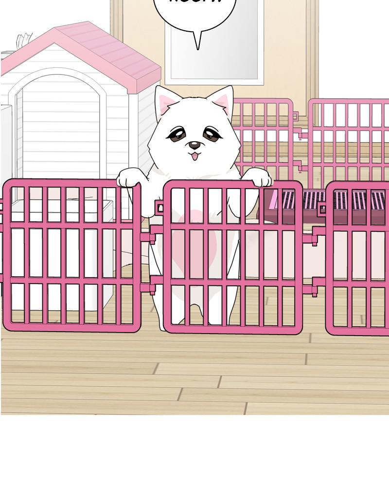 The Dog Diaries Chap 42 - Next Chap 43