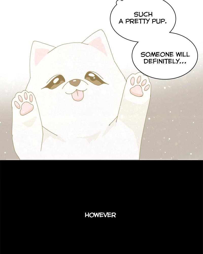 The Dog Diaries Chap 42 - Next Chap 43