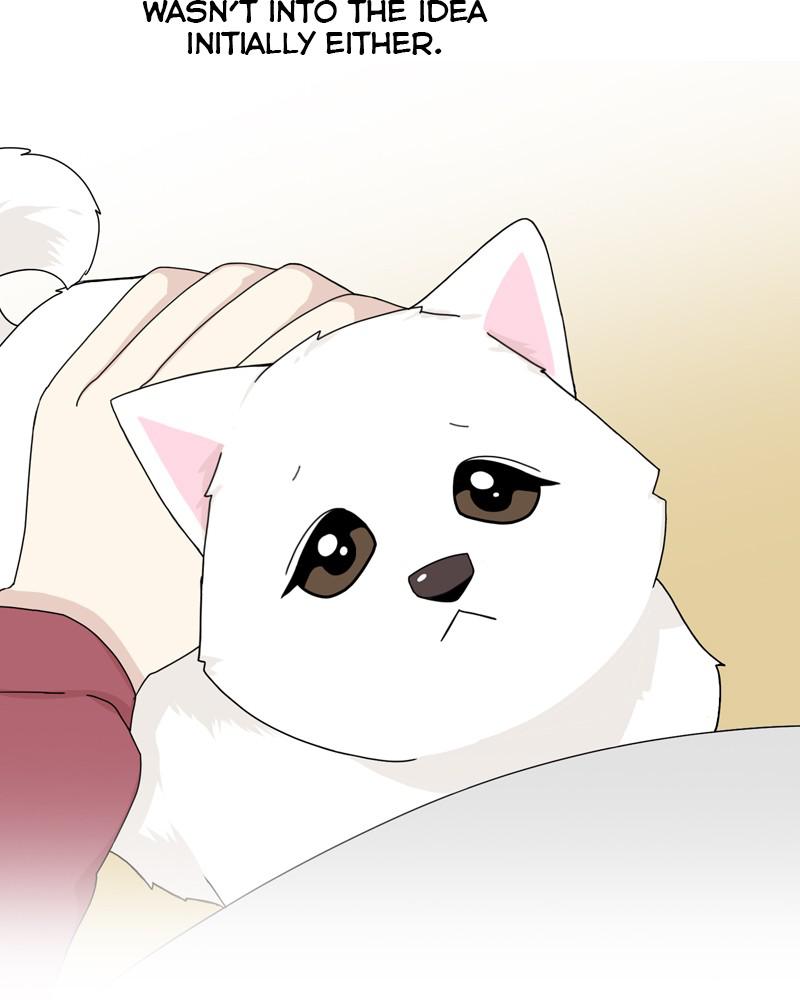 The Dog Diaries Chap 43 - Next Chap 44