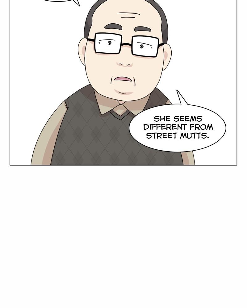 The Dog Diaries Chap 43 - Next Chap 44