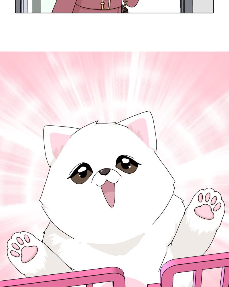 The Dog Diaries Chap 43 - Next Chap 44