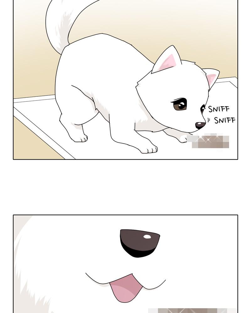 The Dog Diaries Chap 43 - Next Chap 44