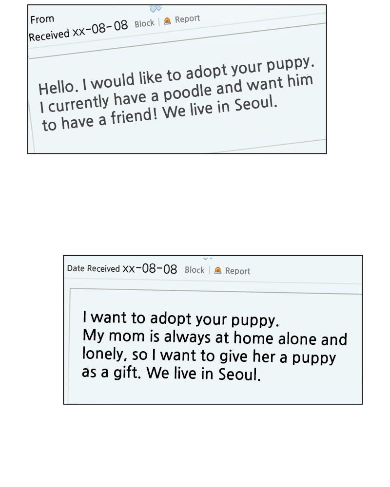 The Dog Diaries Chap 57 - Next Chap 58