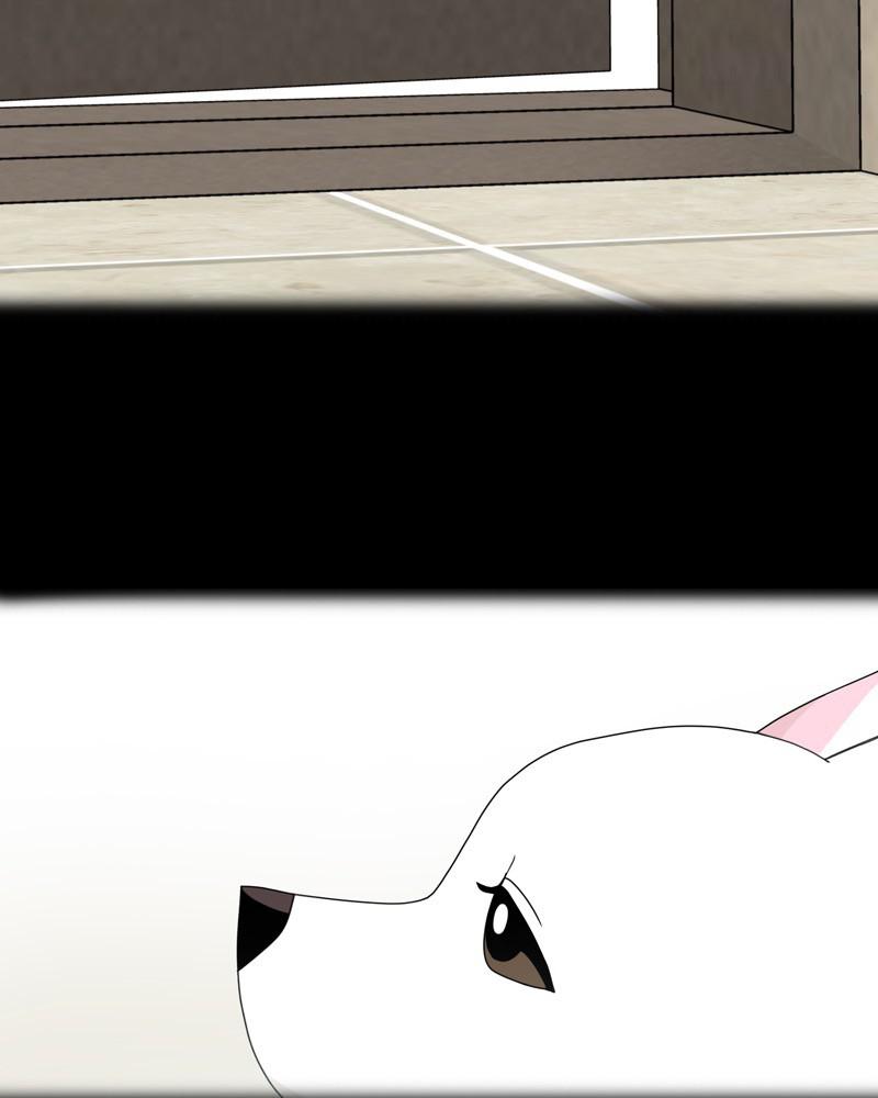 The Dog Diaries Chap 57 - Next Chap 58