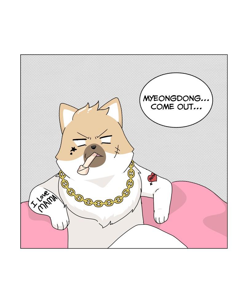 The Dog Diaries Chap 54 - Next Chap 55
