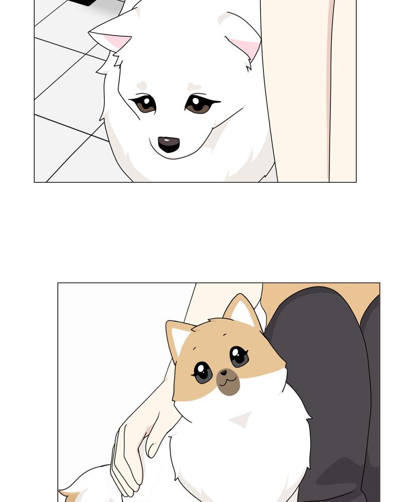 The Dog Diaries Chap 56 - Next Chap 57