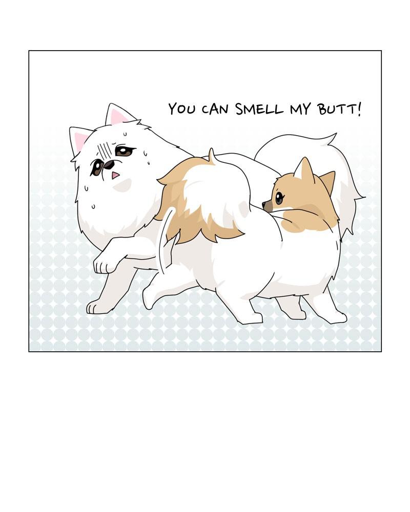 The Dog Diaries Chap 56 - Next Chap 57