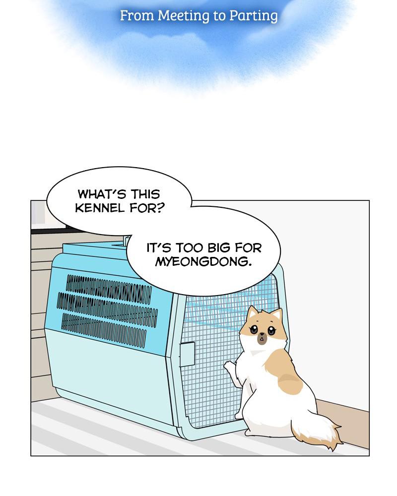 The Dog Diaries Chap 50 - Next Chap 51