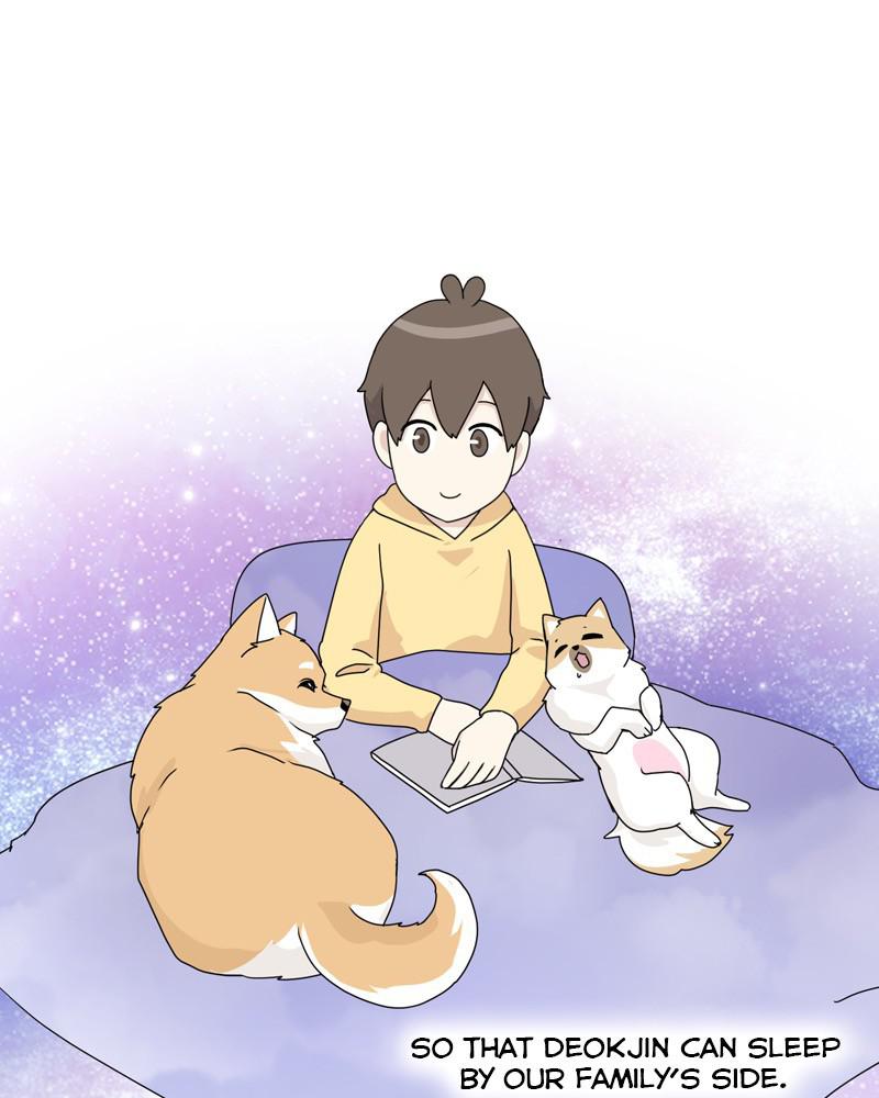 The Dog Diaries Chap 50 - Next Chap 51