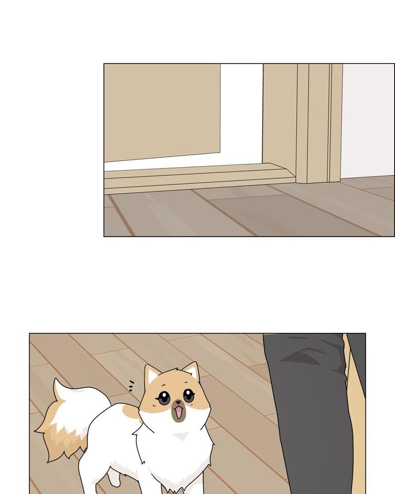 The Dog Diaries Chap 51 - Next Chap 52