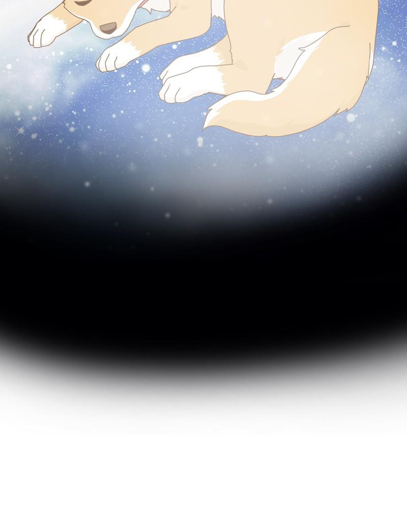 The Dog Diaries Chap 51 - Next Chap 52