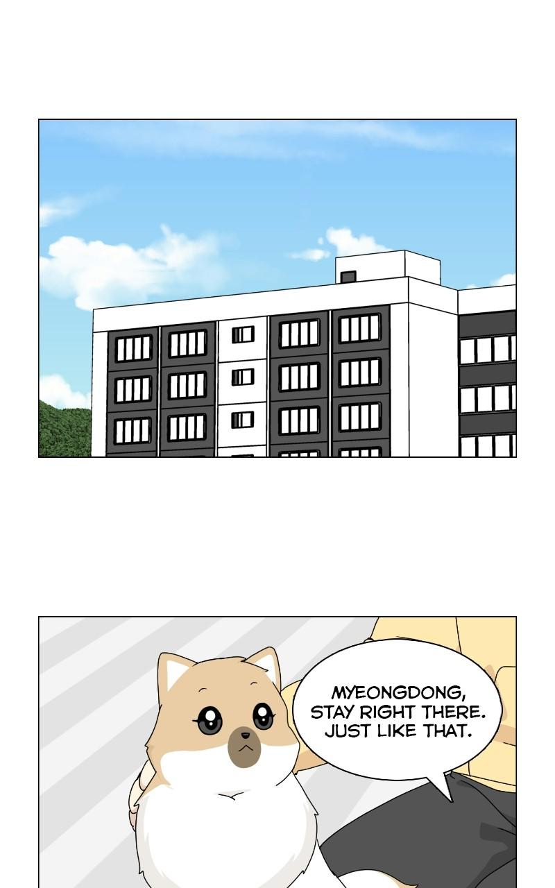 The Dog Diaries Chap 67 - Next Chap 68