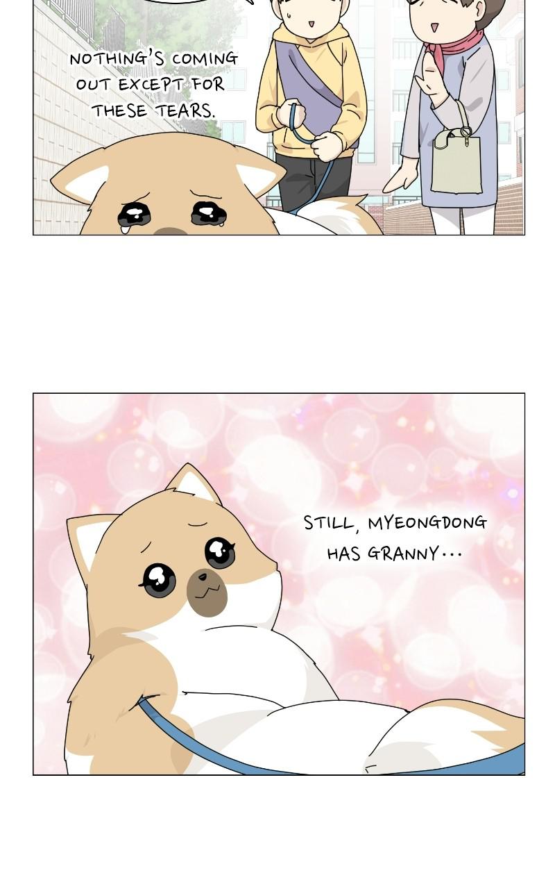 The Dog Diaries Chap 67 - Next Chap 68
