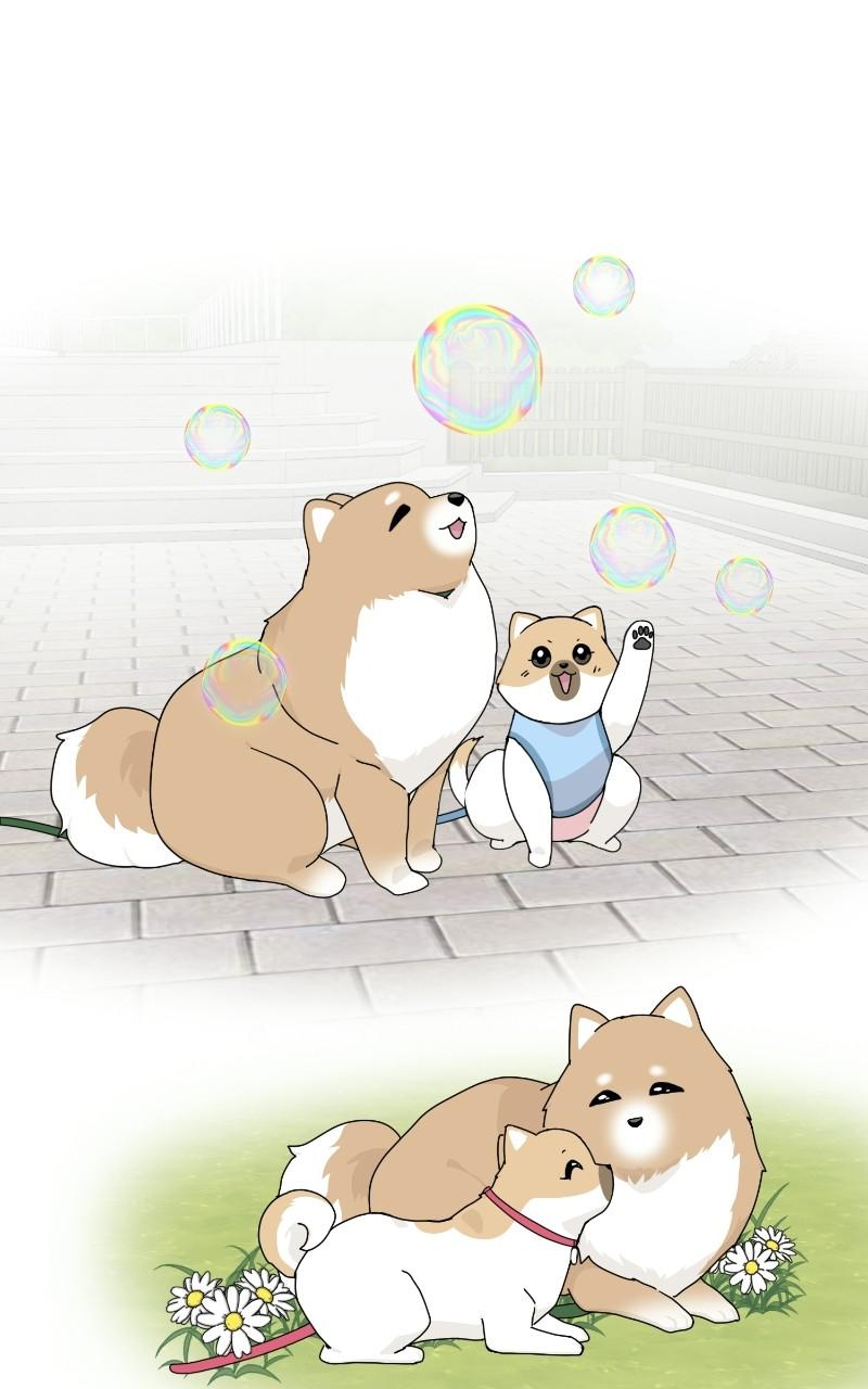 The Dog Diaries Chap 64 - Next Chap 65