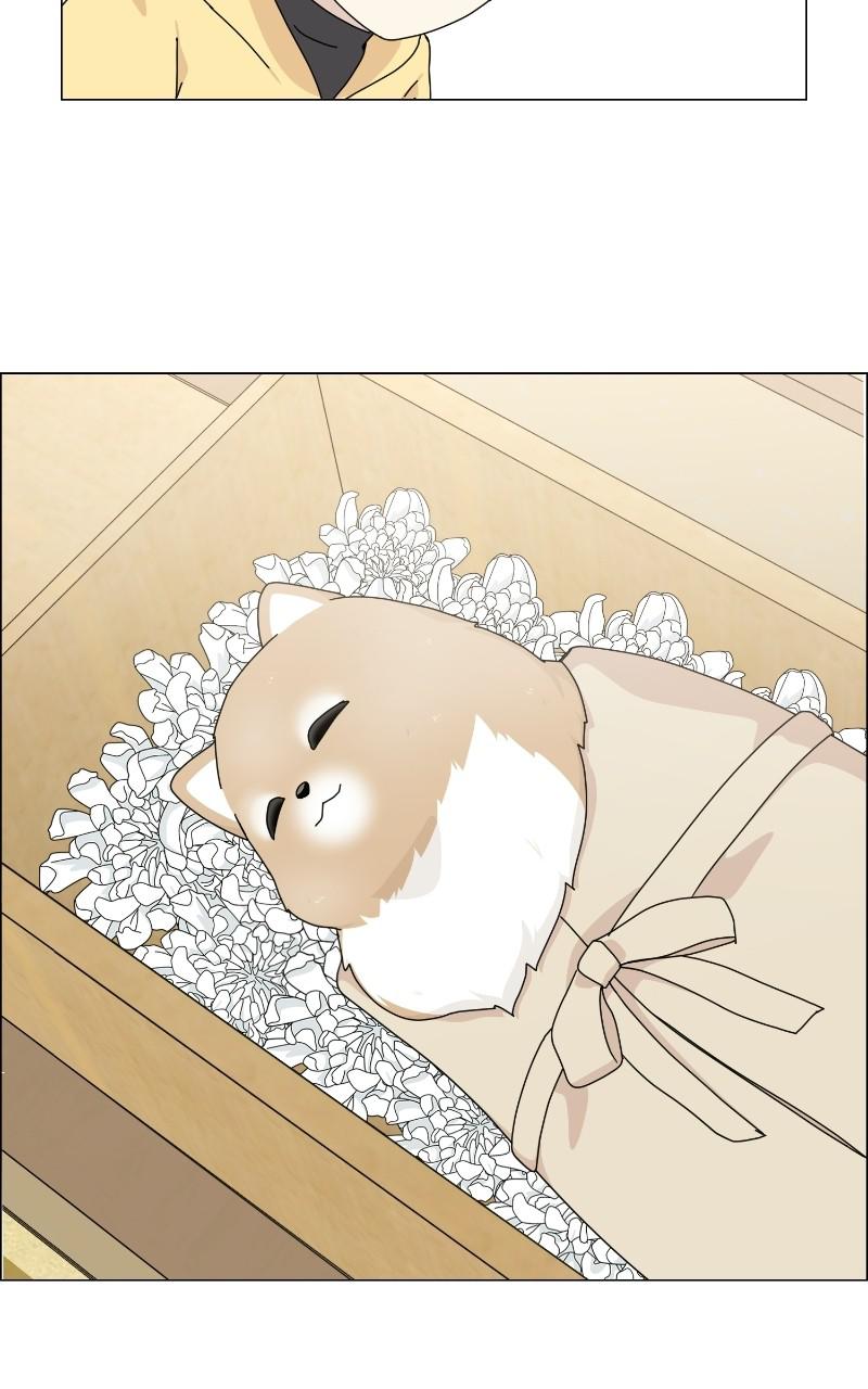 The Dog Diaries Chap 64 - Next Chap 65