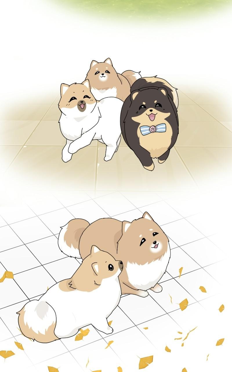 The Dog Diaries Chap 64 - Next Chap 65