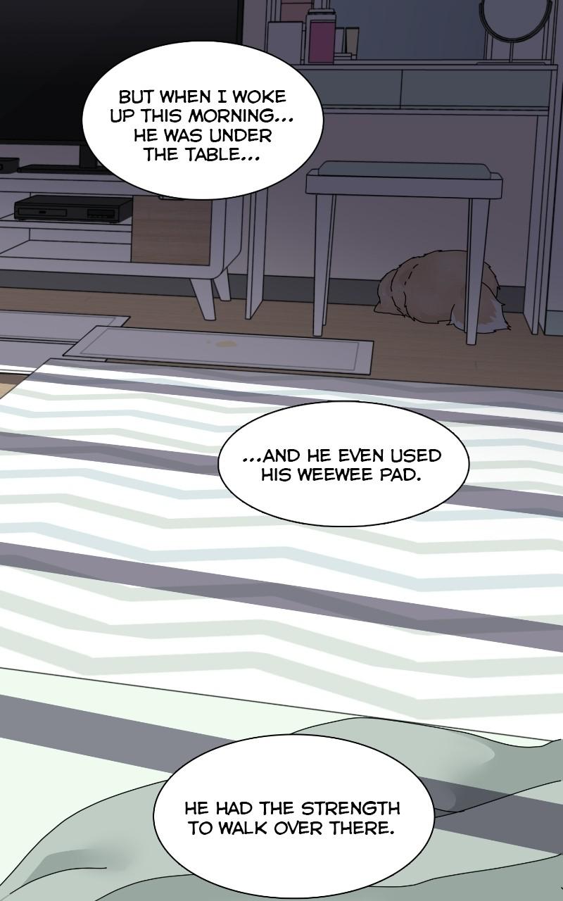 The Dog Diaries Chap 64 - Next Chap 65