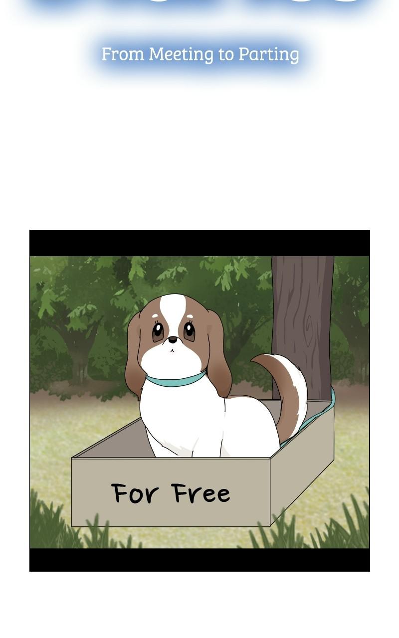 The Dog Diaries Chap 65 - Next Chap 66