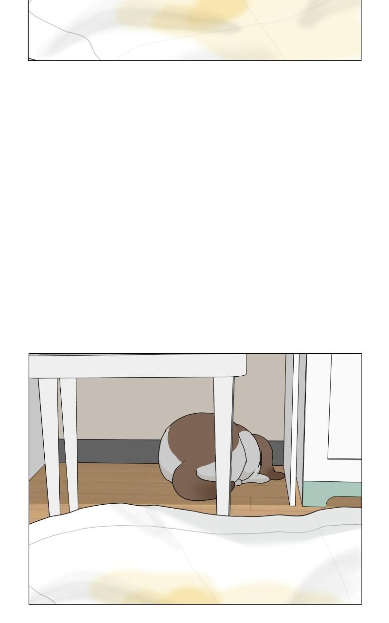 The Dog Diaries Chap 65 - Next Chap 66