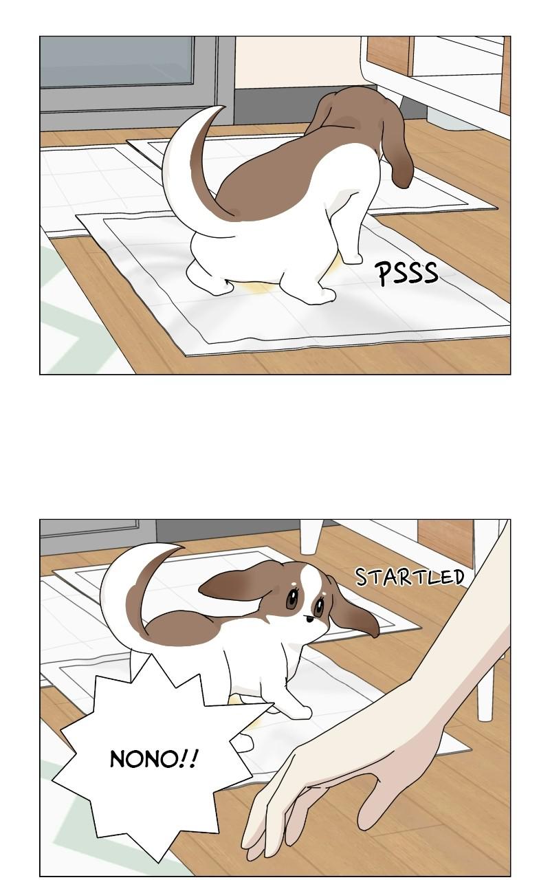 The Dog Diaries Chap 65 - Next Chap 66