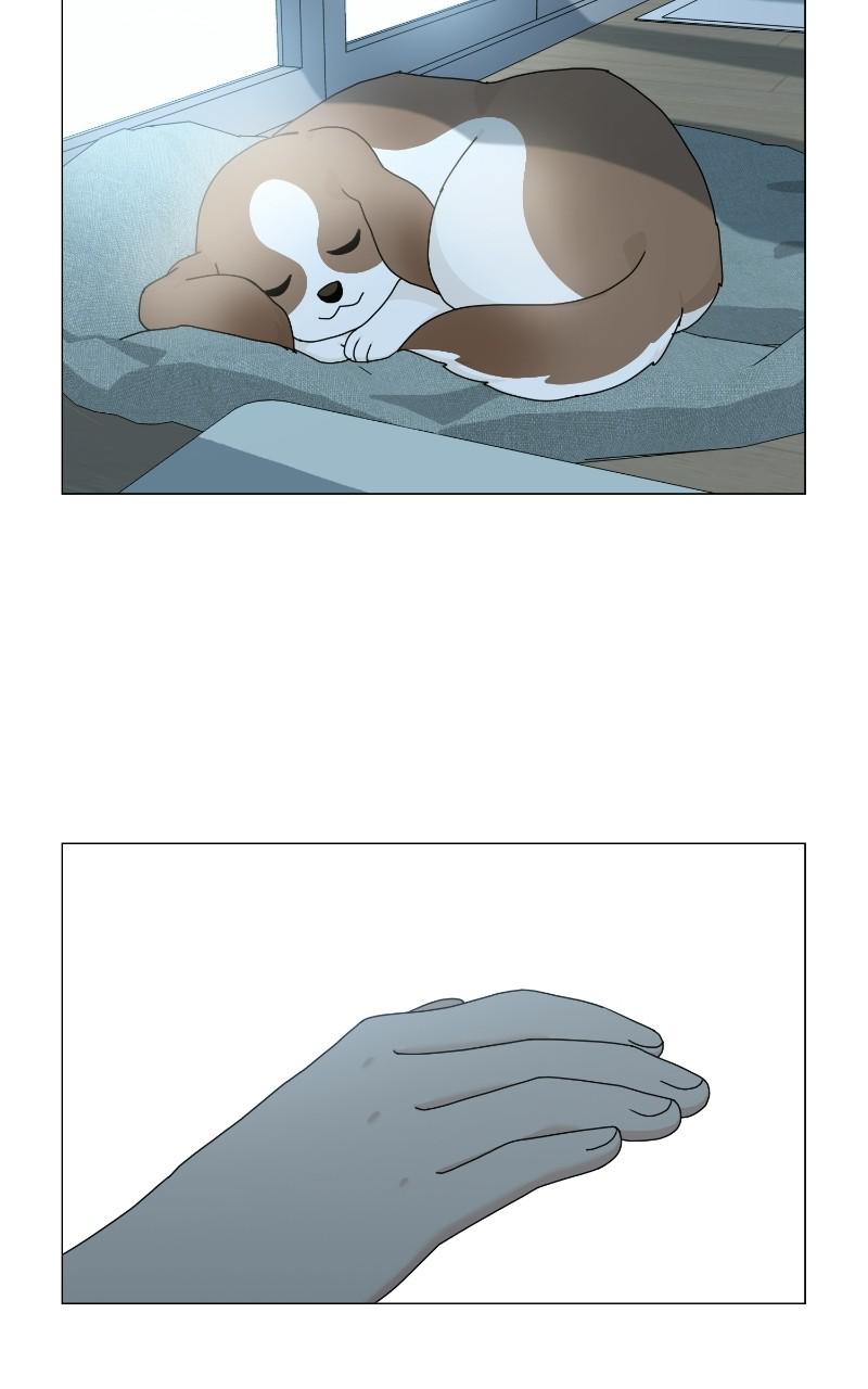 The Dog Diaries Chap 65 - Next Chap 66