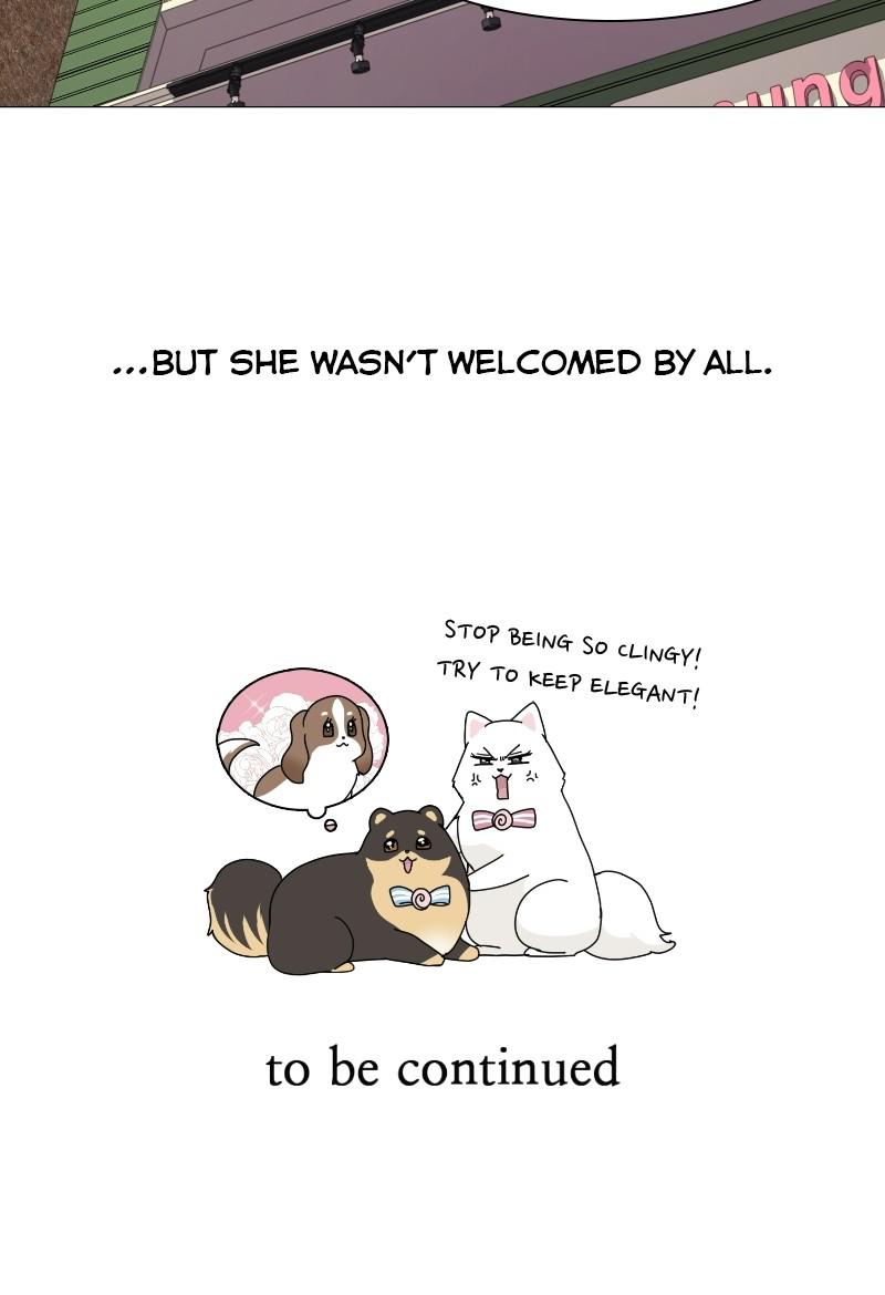 The Dog Diaries Chap 65 - Next Chap 66