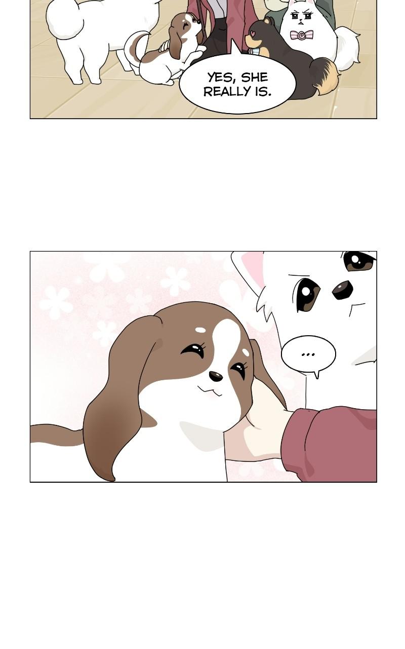 The Dog Diaries Chap 66 - Next Chap 67