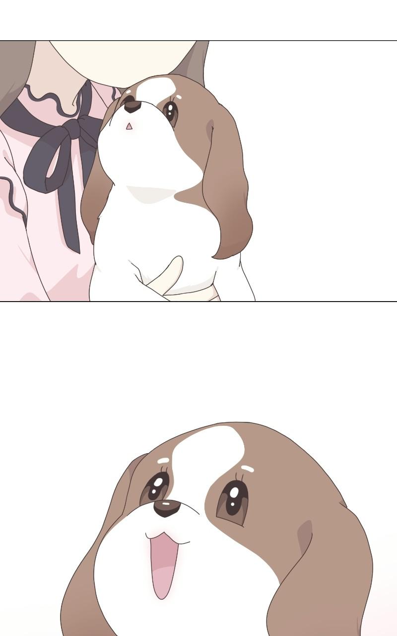 The Dog Diaries Chap 66 - Next Chap 67