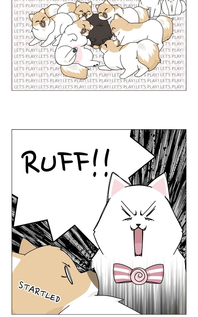 The Dog Diaries Chap 68 - Next Chap 69