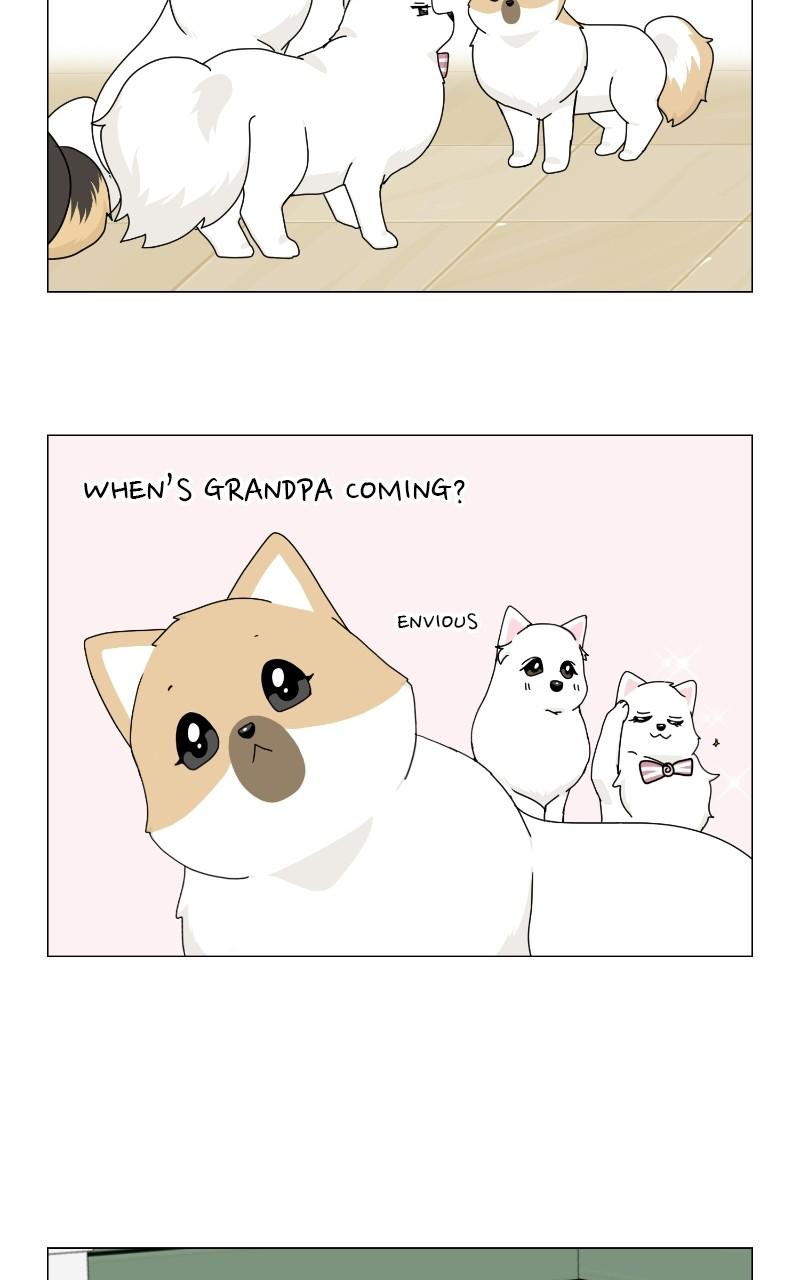 The Dog Diaries Chap 68 - Next Chap 69