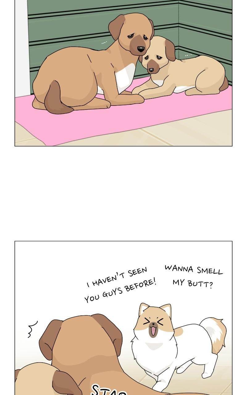 The Dog Diaries Chap 68 - Next Chap 69