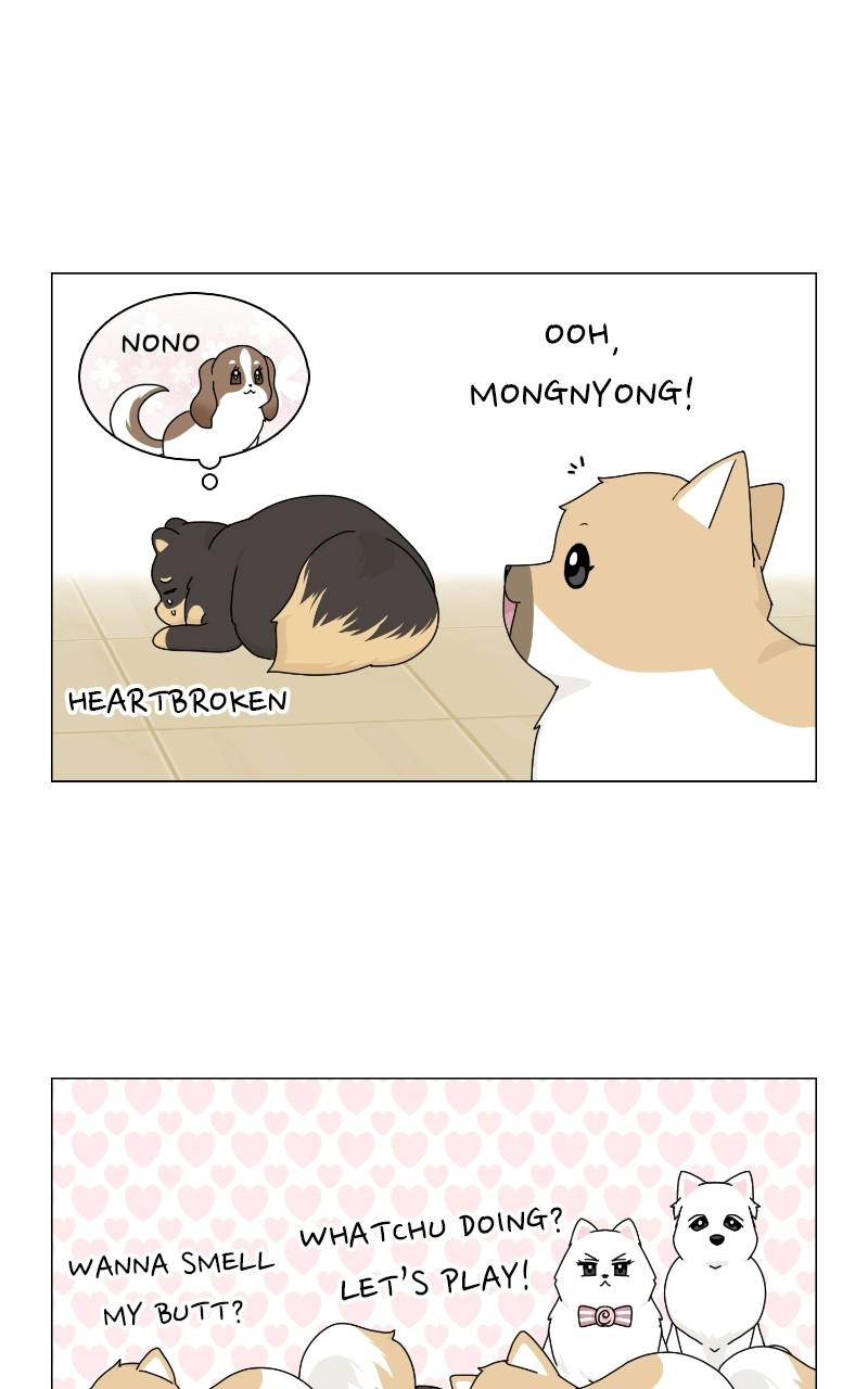 The Dog Diaries Chap 68 - Next Chap 69