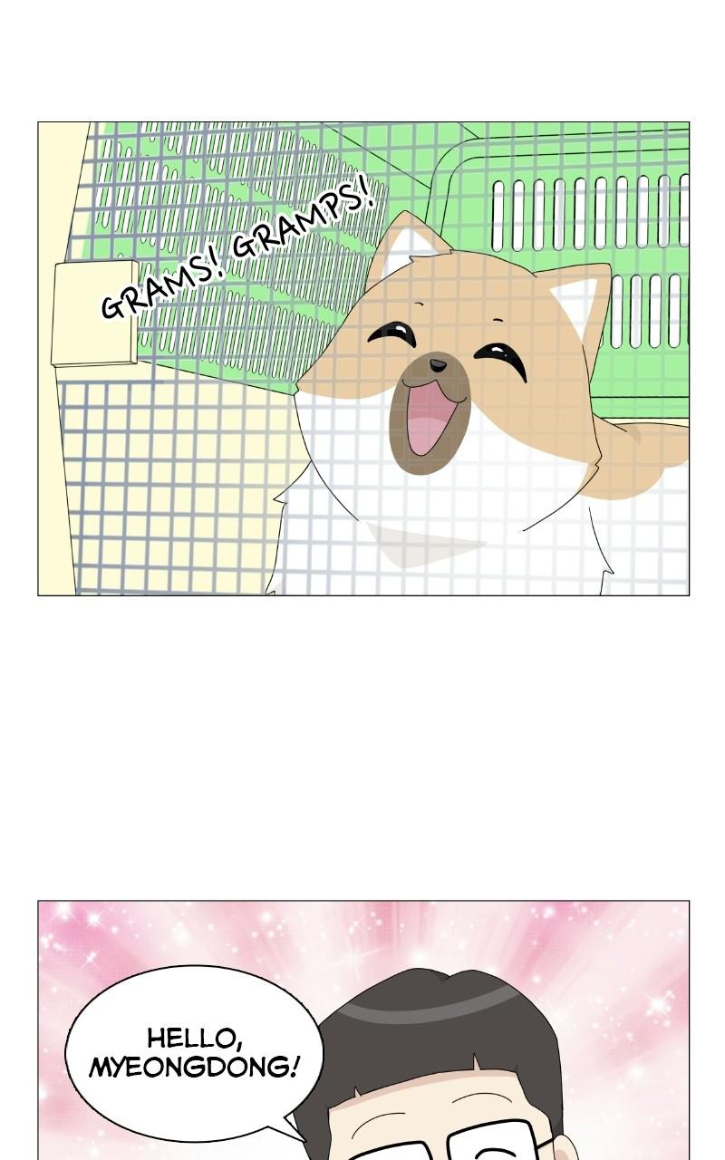 The Dog Diaries Chap 68 - Next Chap 69
