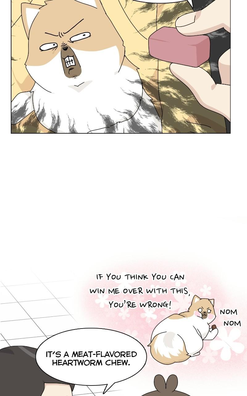 The Dog Diaries Chap 68 - Next Chap 69