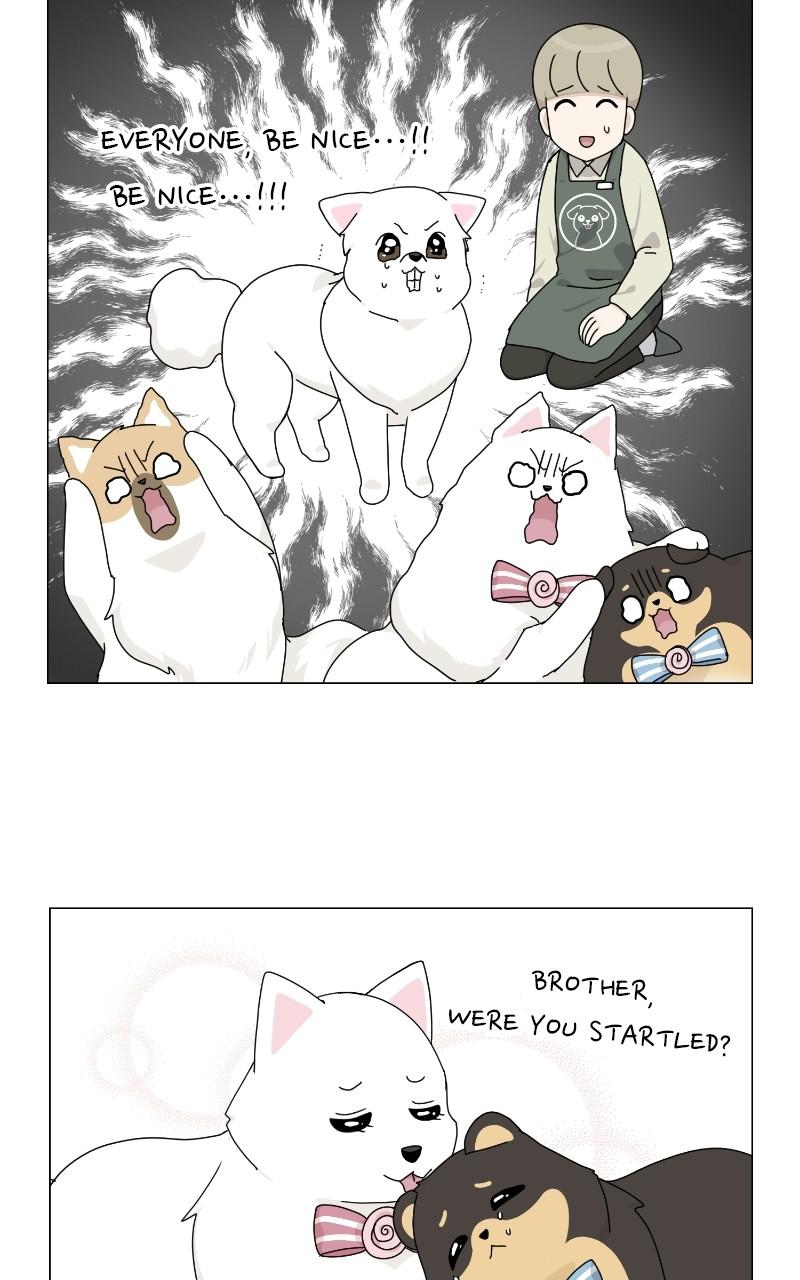 The Dog Diaries Chap 68 - Next Chap 69