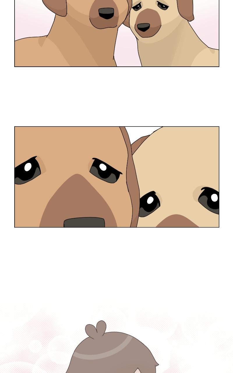 The Dog Diaries Chap 68 - Next Chap 69