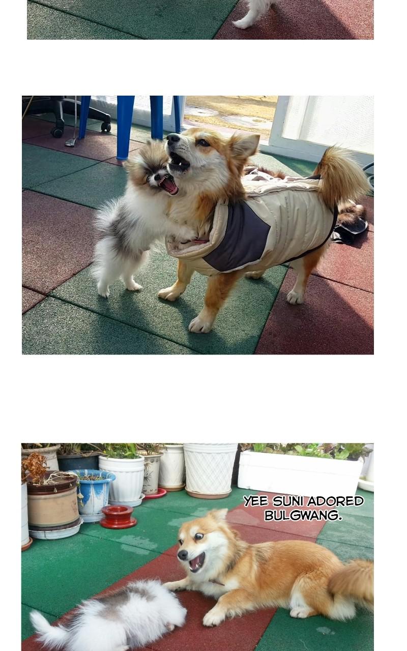 The Dog Diaries Chap 68.5 - Next Chap 69.5