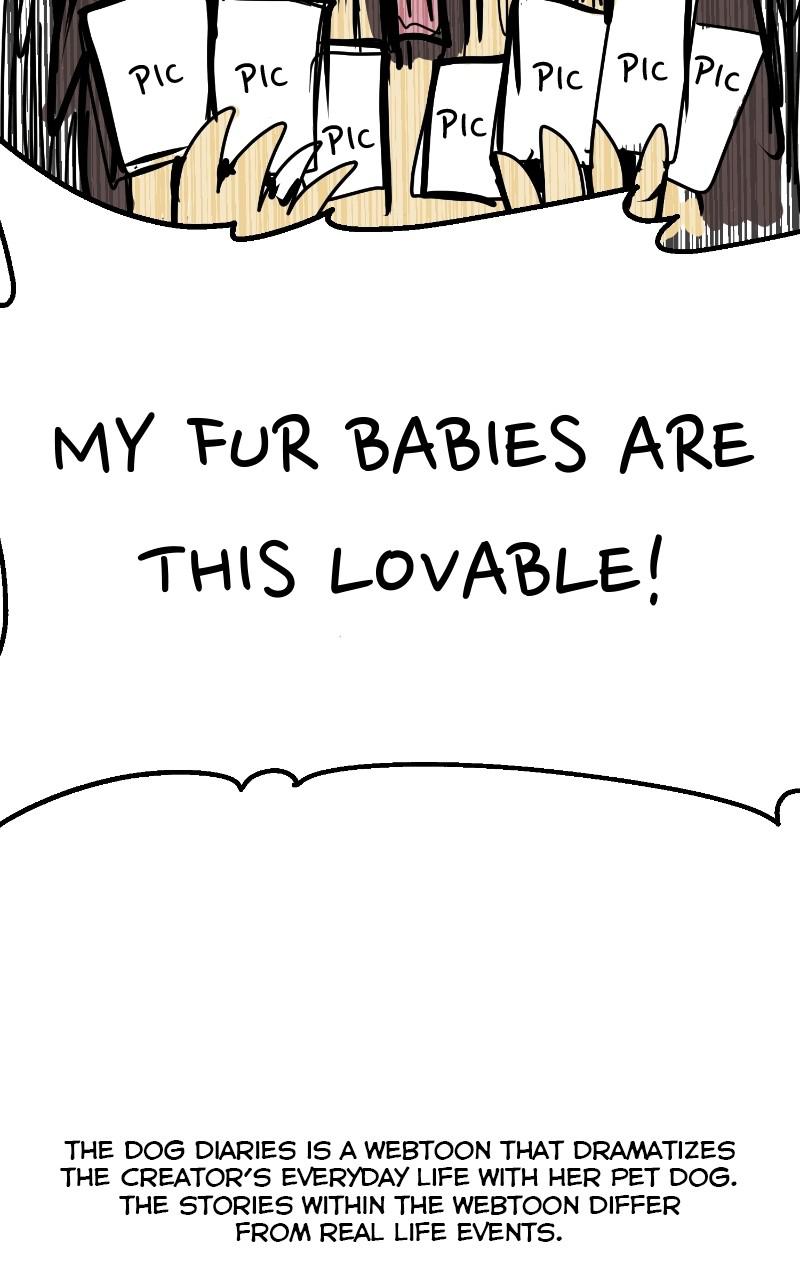 The Dog Diaries Chap 68.5 - Next Chap 69.5