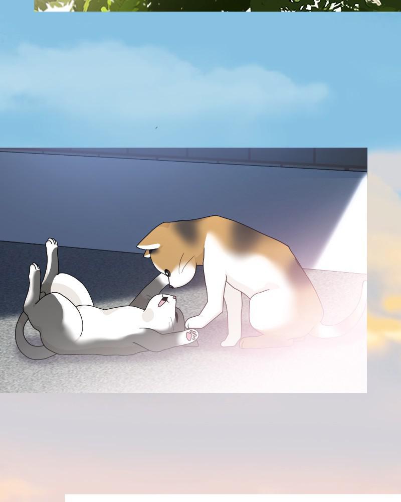 The Dog Diaries Chap 60 - Next Chap 61