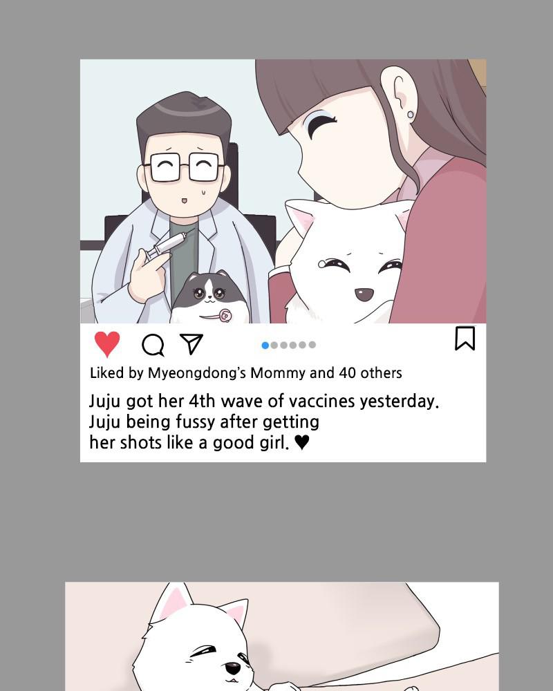 The Dog Diaries Chap 60 - Next Chap 61