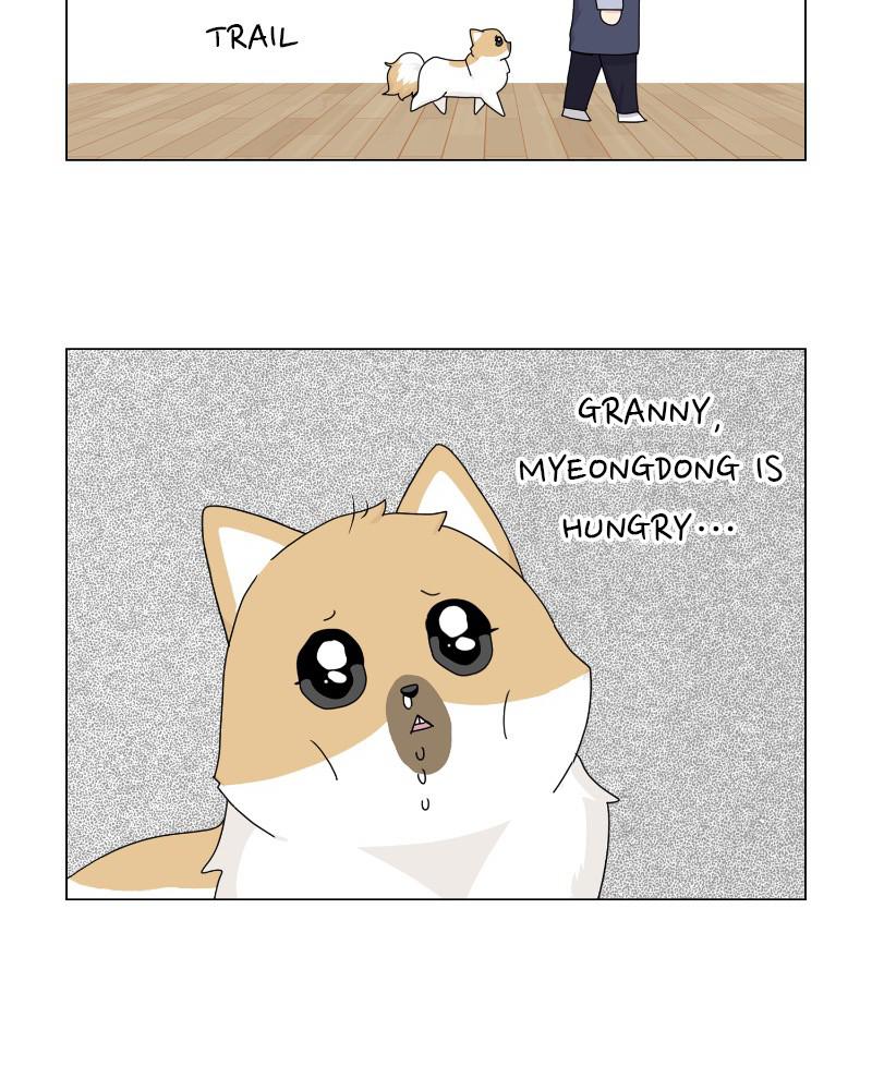 The Dog Diaries Chap 62 - Next Chap 63