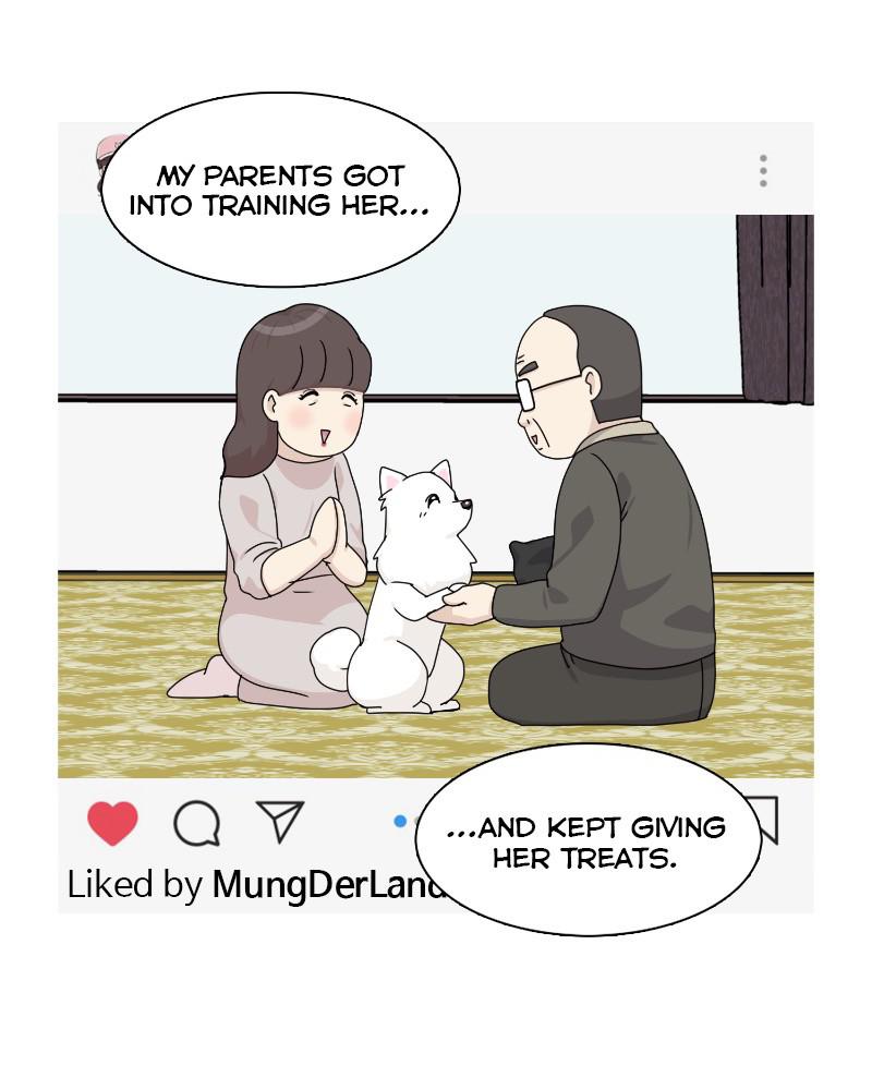 The Dog Diaries Chap 62 - Next Chap 63