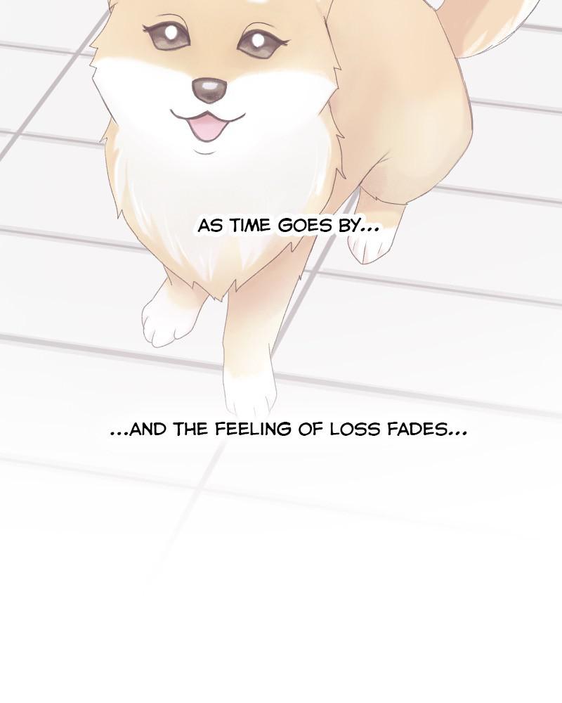 The Dog Diaries Chap 62 - Next Chap 63