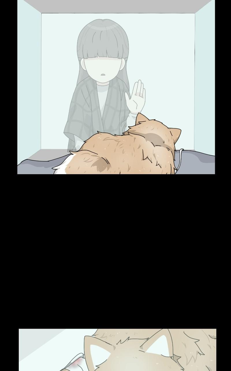 The Dog Diaries Chap 63 - Next Chap 64
