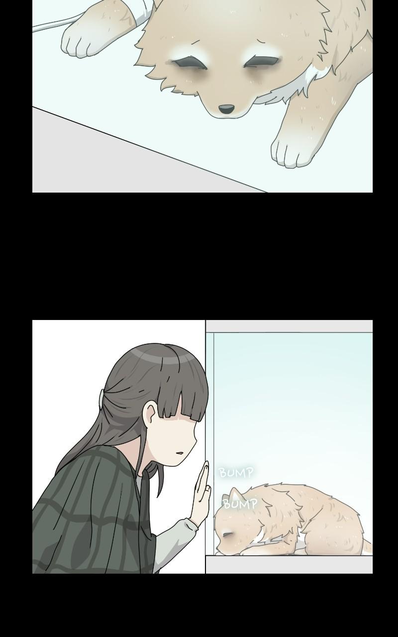 The Dog Diaries Chap 63 - Next Chap 64