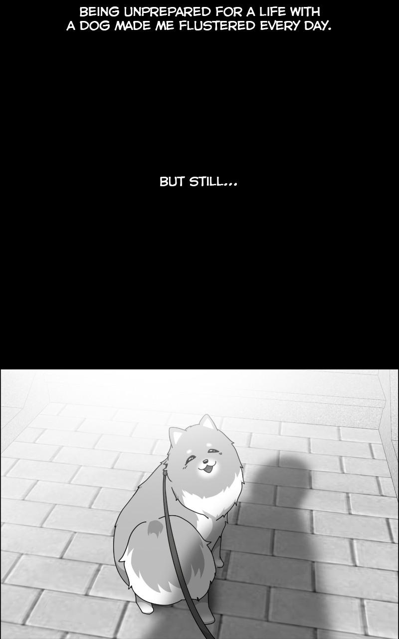 The Dog Diaries Chap 63 - Next Chap 64