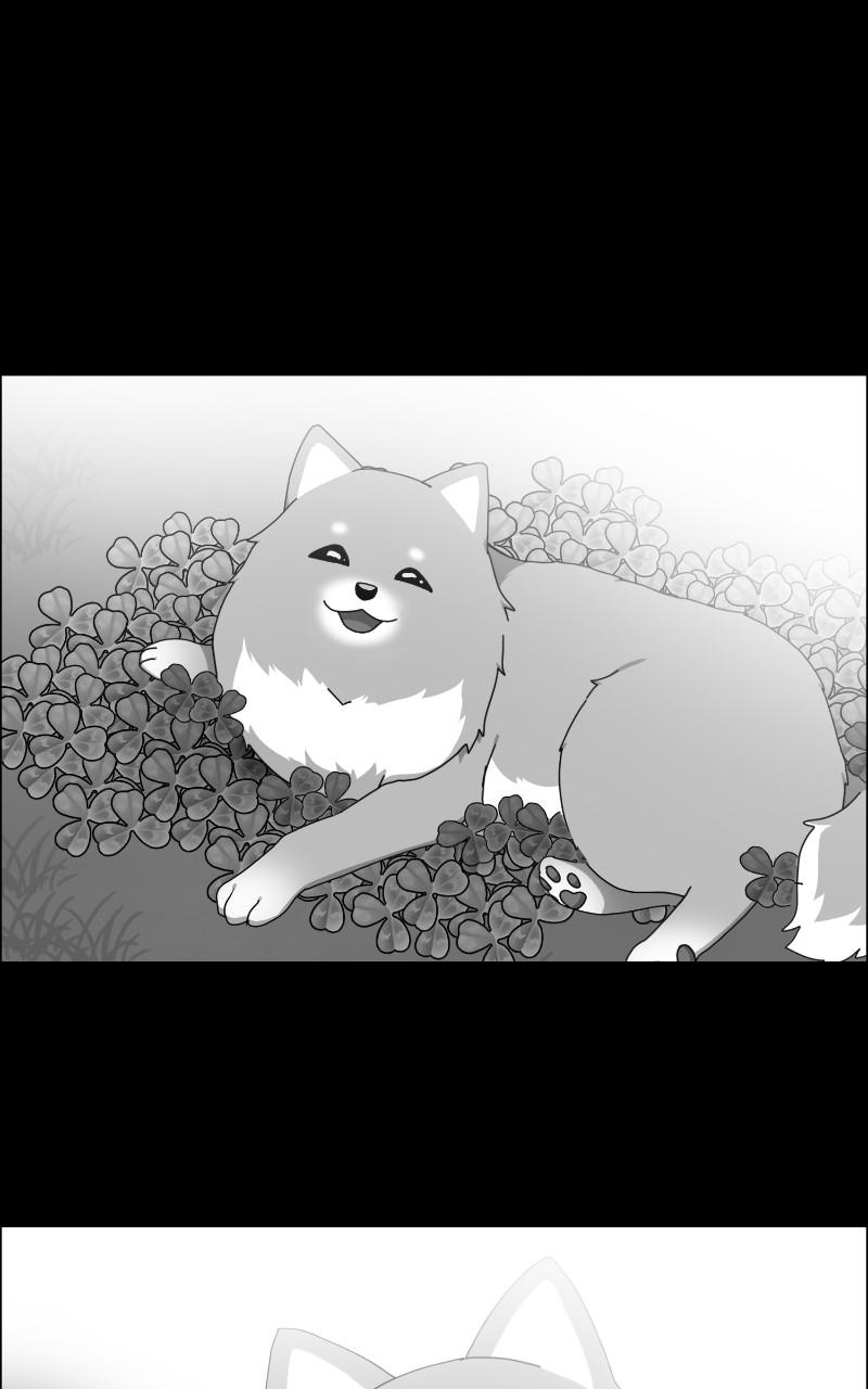 The Dog Diaries Chap 63 - Next Chap 64